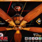 AC DC Fans | Energy Efficient Fans of Pakistan | AC DC Fans | 5 Blades | 56"  Fan | Best Fan
